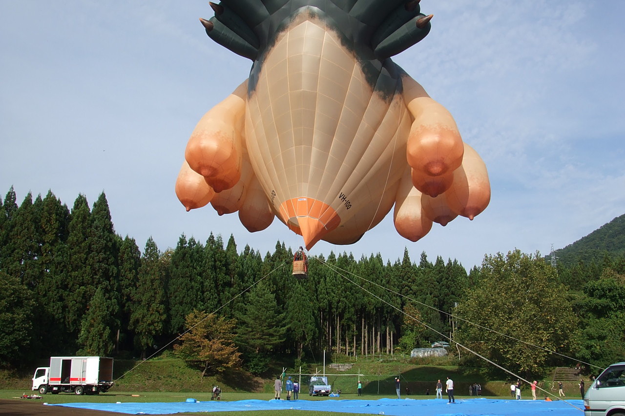 空飛ぶクジラを見てきました