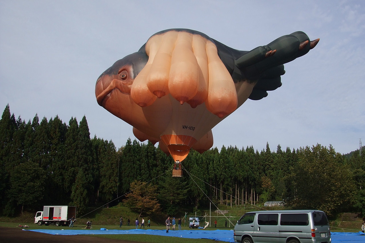 空飛ぶクジラを見てきました